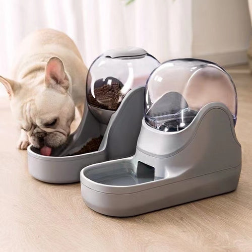 Pet Automatic Feeder